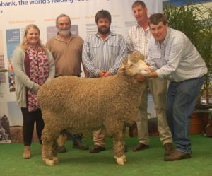 Kamora Park - Lot 62 Adelaide Ram Sale $18,000