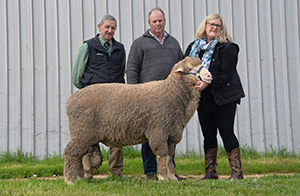 Top Priced Ram at Kamora Park Sale 2019